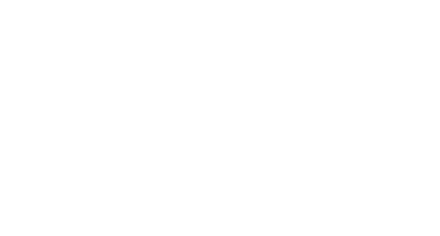FÓRMULA 1